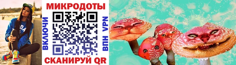 Галлюциногенные грибы мухоморы Новочебоксарск